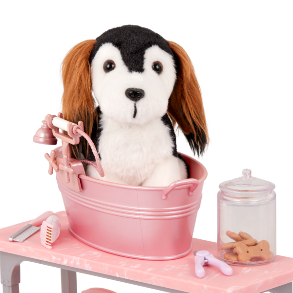 Ensemble de toilettage pour animaux Scrub &amp; Style