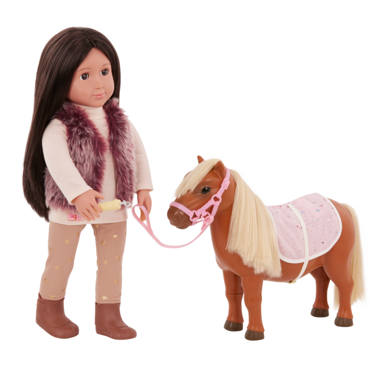 Poney Shetland