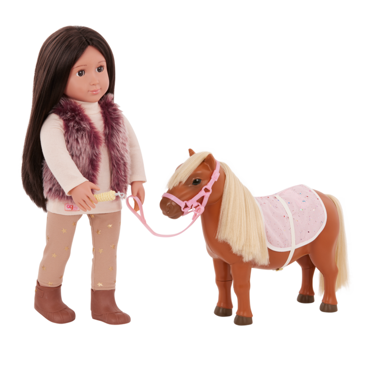 Poney Shetland