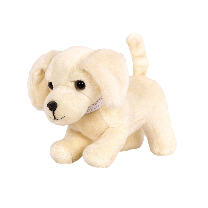 Golden Retriever Pup