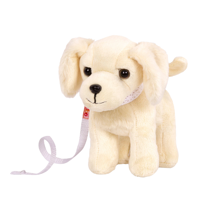 Golden Retriever Pup