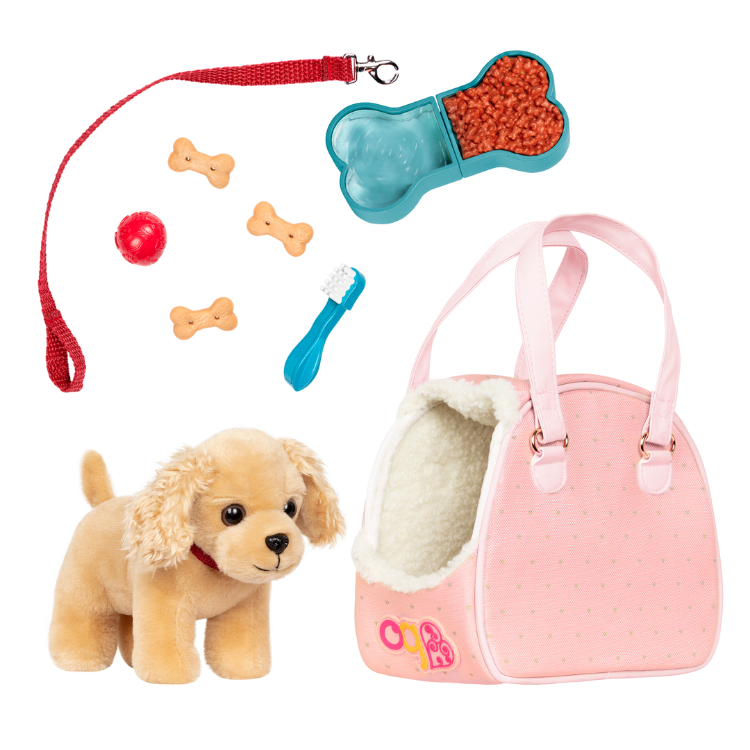 Dog's accessories online