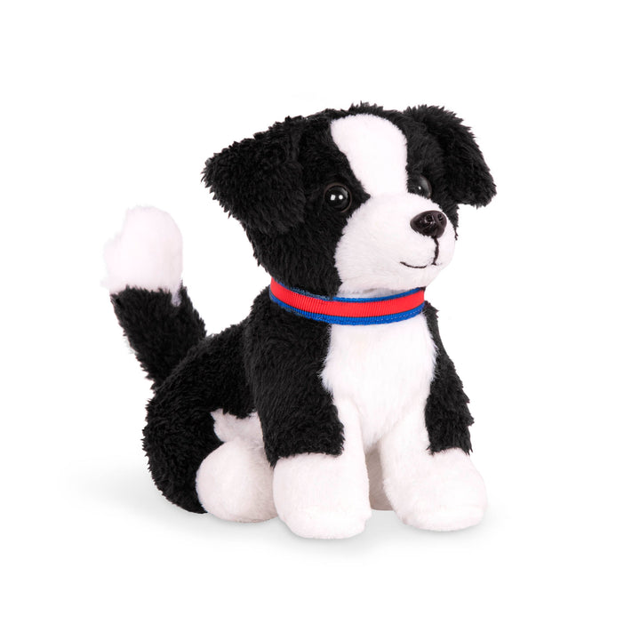 Chiot border collie